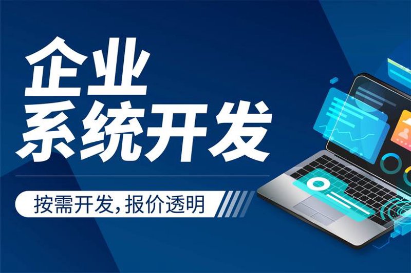 APP定制选购指南：打造专属的移动服务